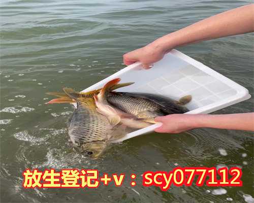 阳江能放生吗，阳江哪个公园能放生石螺啊，阳江放生黄鳝的功德的真实感应
