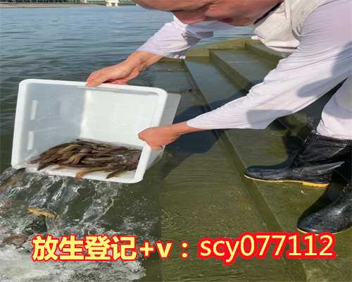 广东哪里放生蛇比较好，全国放鱼日，广东放生鱼虾苗近2亿尾