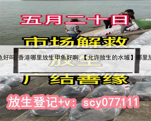香港放生乌龟好吗,香港哪里放生甲鱼好啊,【允许放生的水域】哪里放生甲鱼好